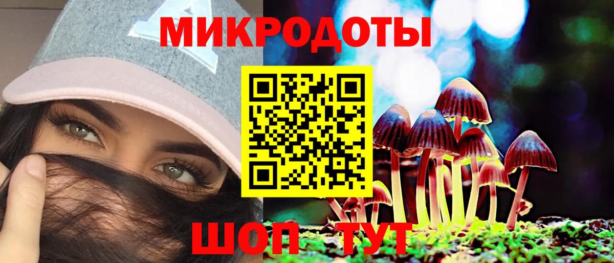 Псилоцибиновые грибы Cubensis  Вход с VPN  купить закладку  Верхняя Пышма  Псилоцибиновые грибы Psilocybe 